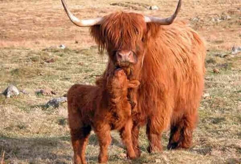 Hôtel Delighful, Cosy Caravan With Sea View In Monreith