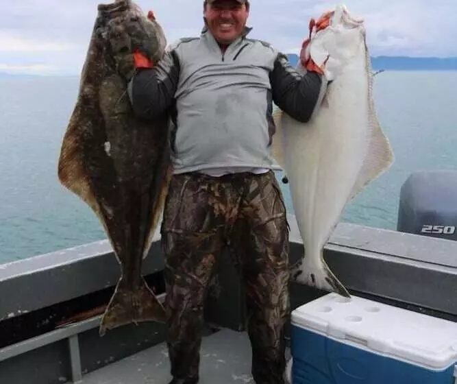 Hotelli King Halibut Lodge