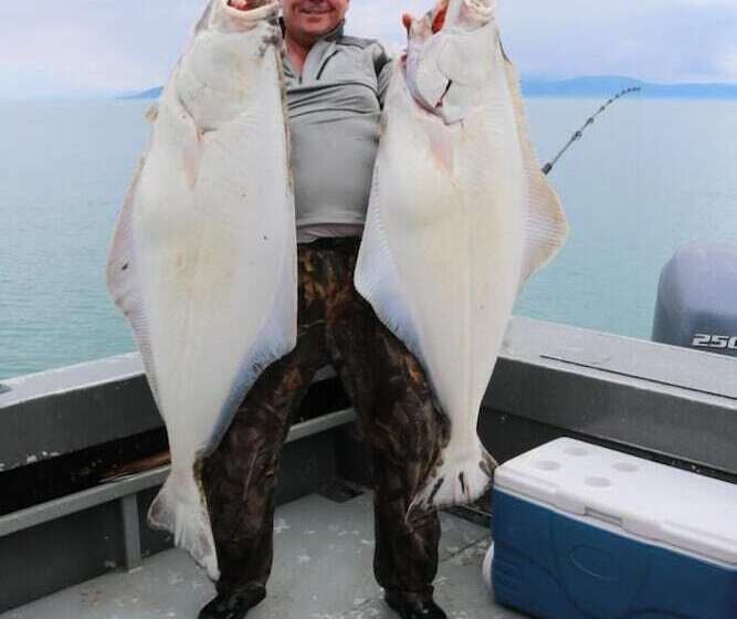 ホテル King Halibut Lodge