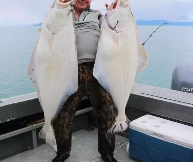 Hotelli King Halibut Lodge