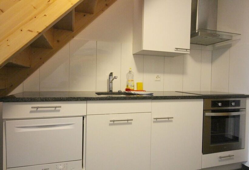 Apartments Swiss Star Aussersihl