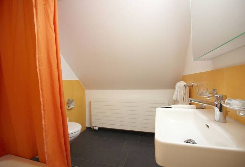 Apartments Swiss Star Aussersihl