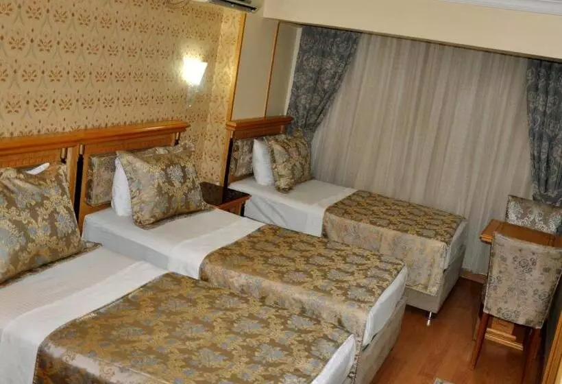 Hotelli Grand Hisar