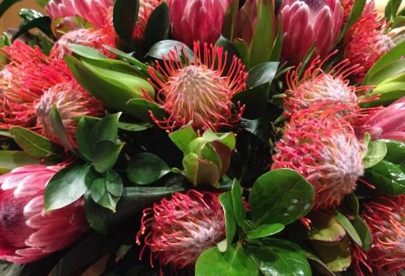 酒店 Life & Leisure Boutique Guesthouse