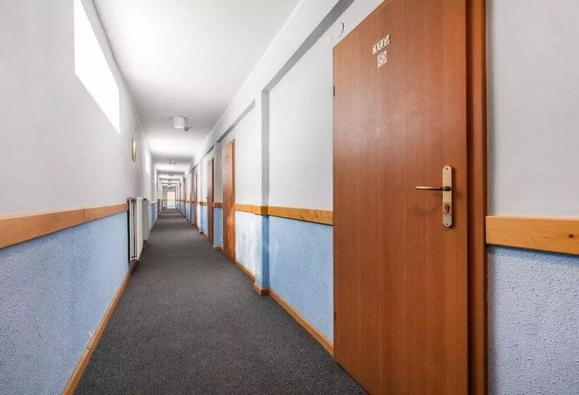 בית מלון כפרי Olivia