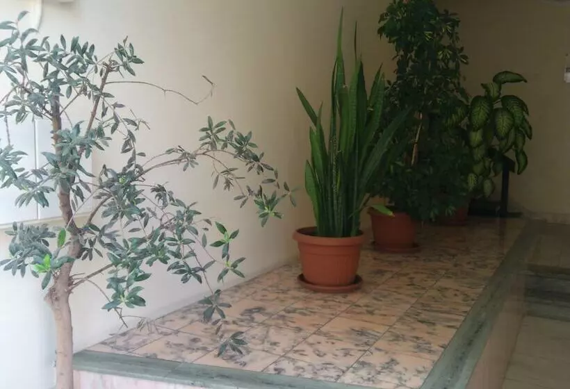 Hotel Pensao Estacao Central