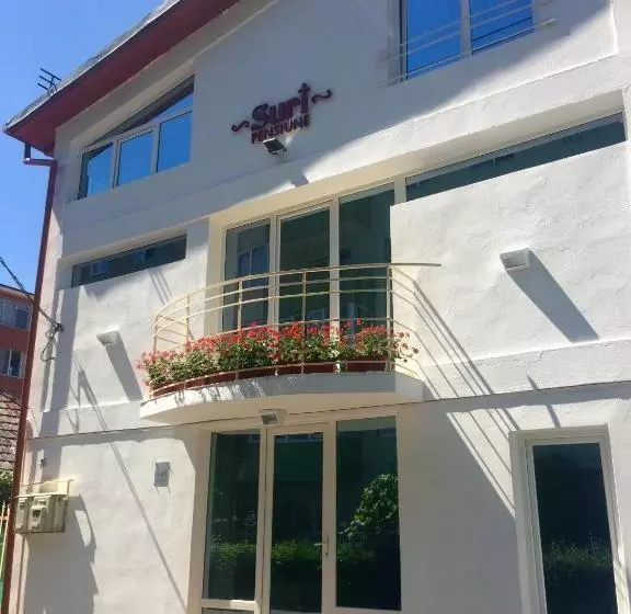 ホテル Suri Guesthouse