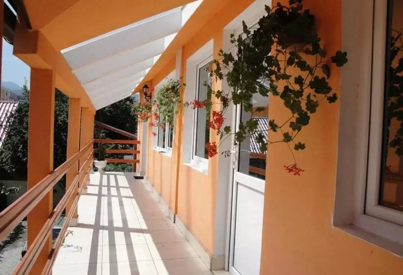 ホテル Suri Guesthouse