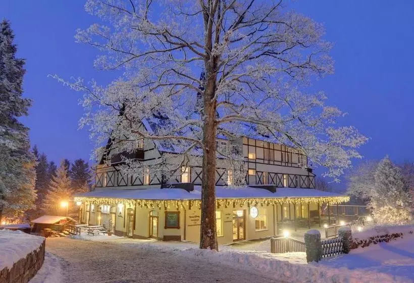 فندق Tarasy Wang