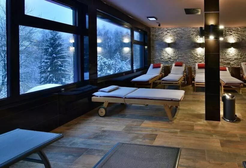 Wellness Hotel Astra