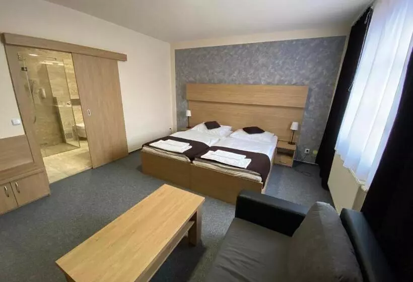 ホテル Zebetinsky Dvur Brno