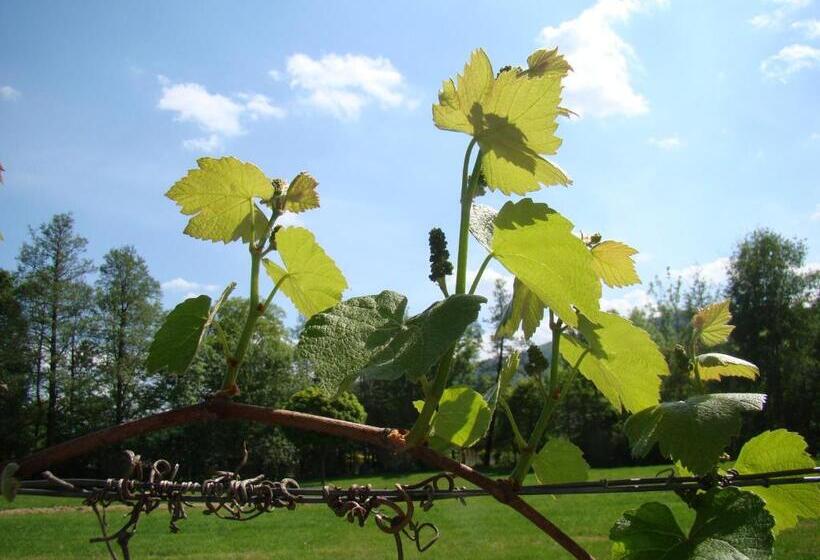 Пансион Gasthof Stegweber