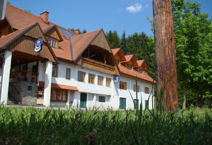 Пансион Gasthof Stegweber