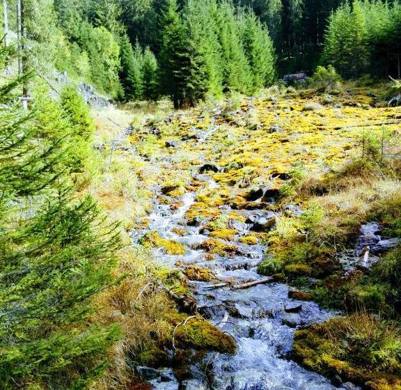 بنسيون Haus Groder