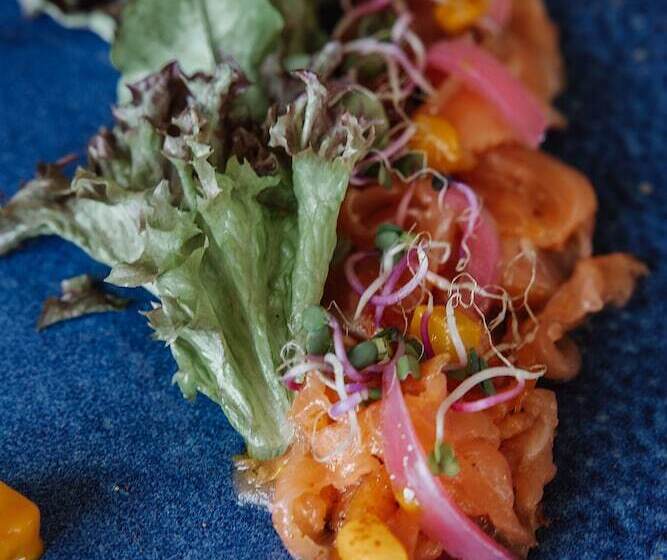 בית מלון כפרי Panorama