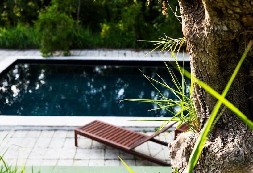 Rezydencja Naples Countryside, One Of A Kind Dome Experience