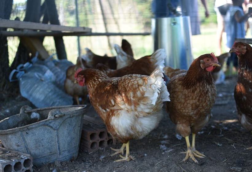 Mediterrani Natura Spa Resort