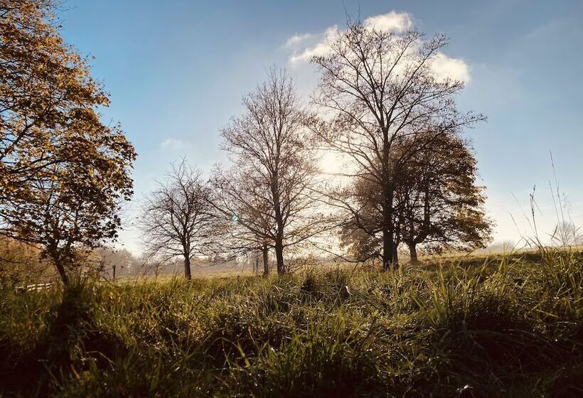 Cosy Cottage, Four Miles From Lincoln City Centre