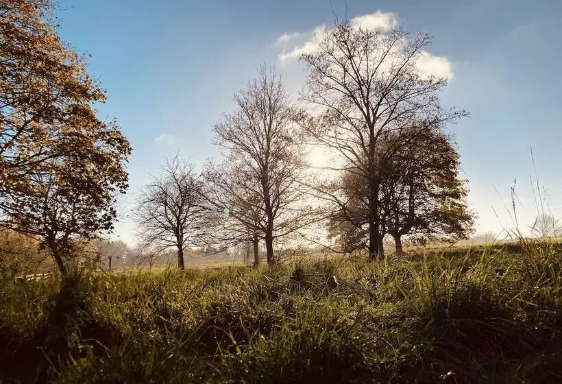 Cosy Cottage, Four Miles From Lincoln City Centre