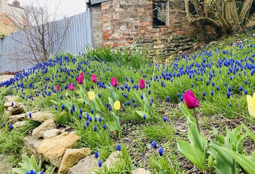Cosy Cottage, Four Miles From Lincoln City Centre