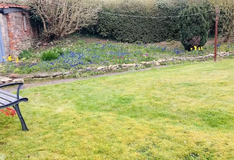 Cosy Cottage, Four Miles From Lincoln City Centre