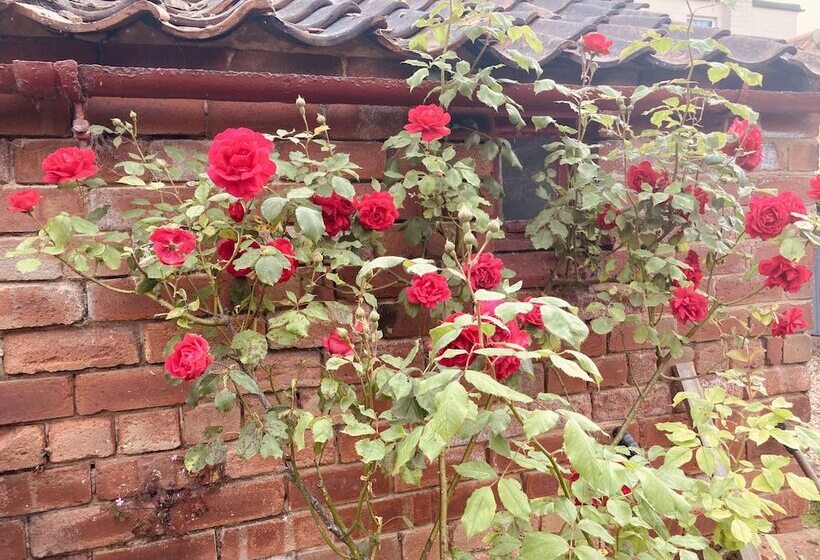 Cosy Cottage, Four Miles From Lincoln City Centre