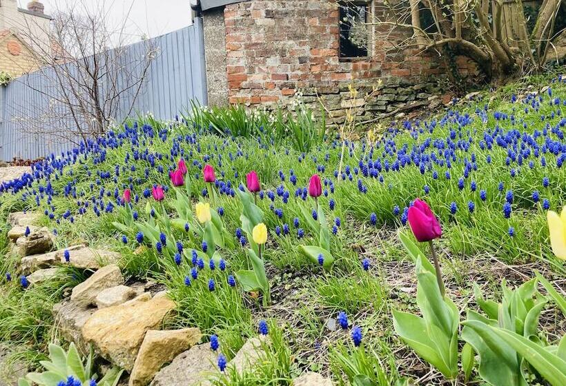 Cosy Cottage, Four Miles From Lincoln City Centre