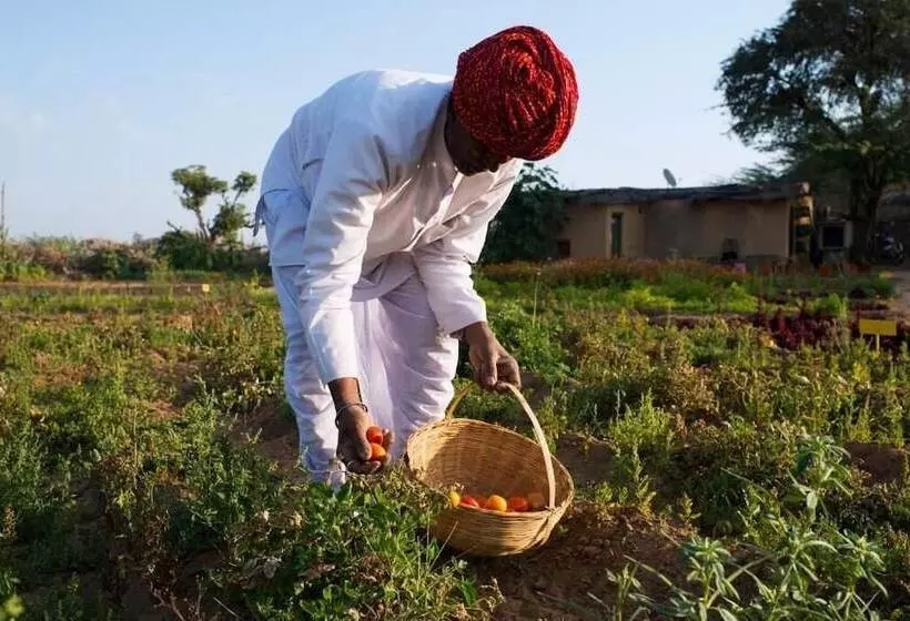ホテル Brij Lakshman Sagar, Pali