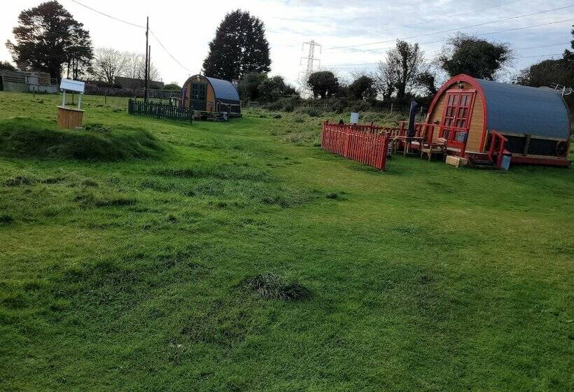 Cosy Glamping Pod Glamping In St Austell Cornwall