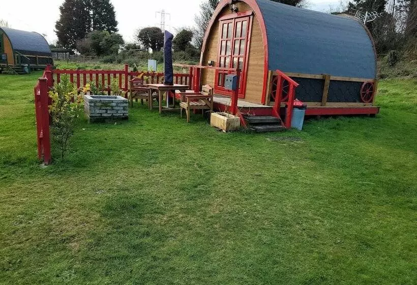 Cosy Glamping Pod Glamping In St Austell Cornwall