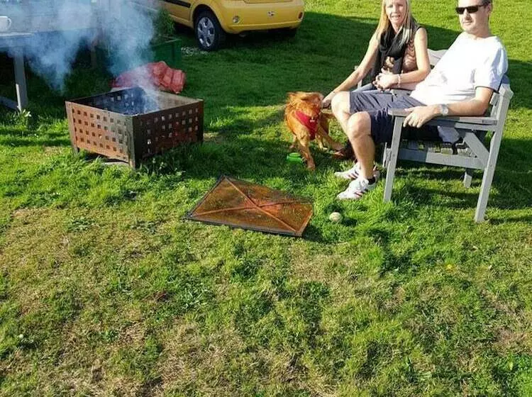 Cosy Glamping Pod Glamping In St Austell Cornwall