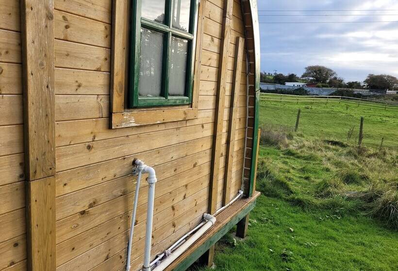 Cosy Glamping Pod Glamping In St Austell Cornwall