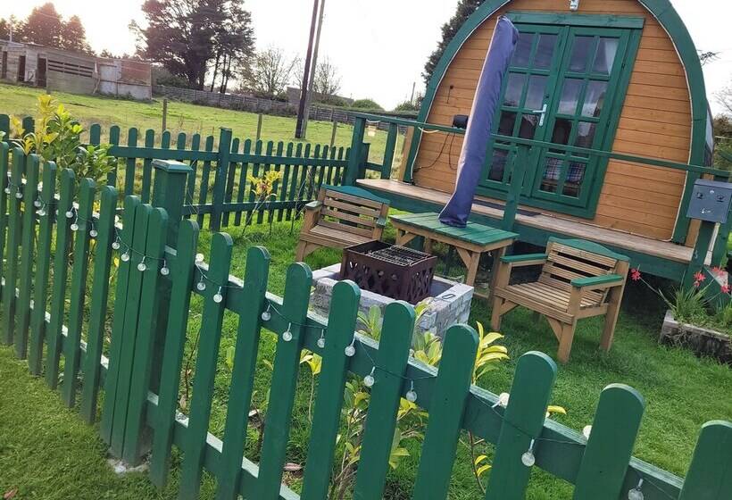 Cosy Glamping Pod Glamping In St Austell Cornwall