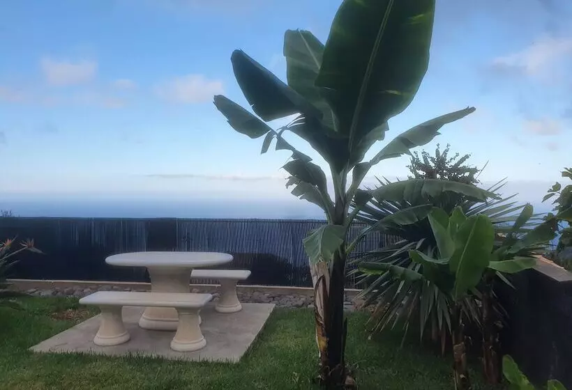 レジデンス Ocean View Villa With Private Outdoor Heated Pool