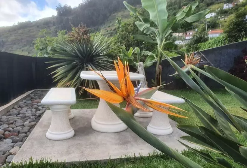 レジデンス Ocean View Villa With Private Outdoor Heated Pool