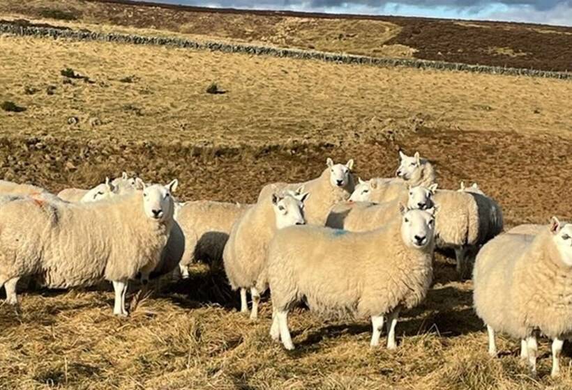 Traditional Bothy Accommodation