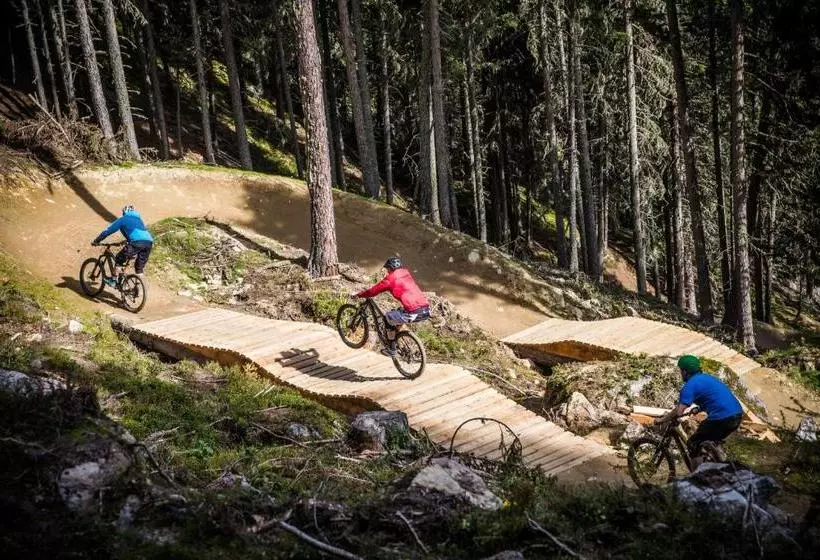 Bed and Breakfast Pension Bergheim