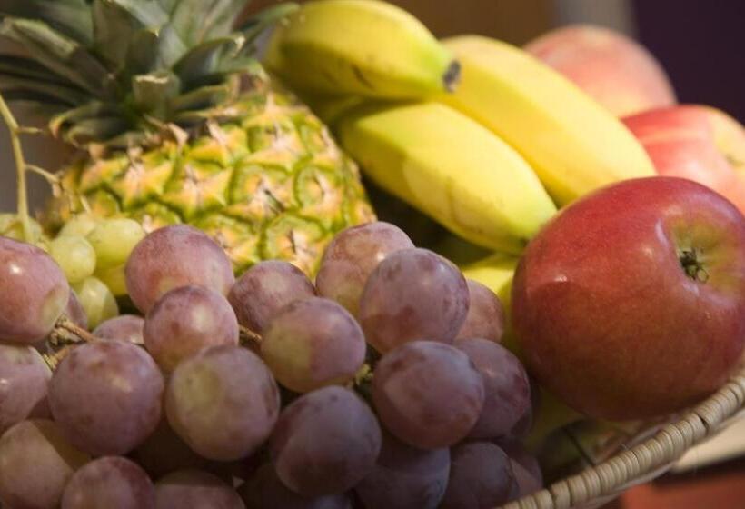 住宿加早餐 Pension Hauser