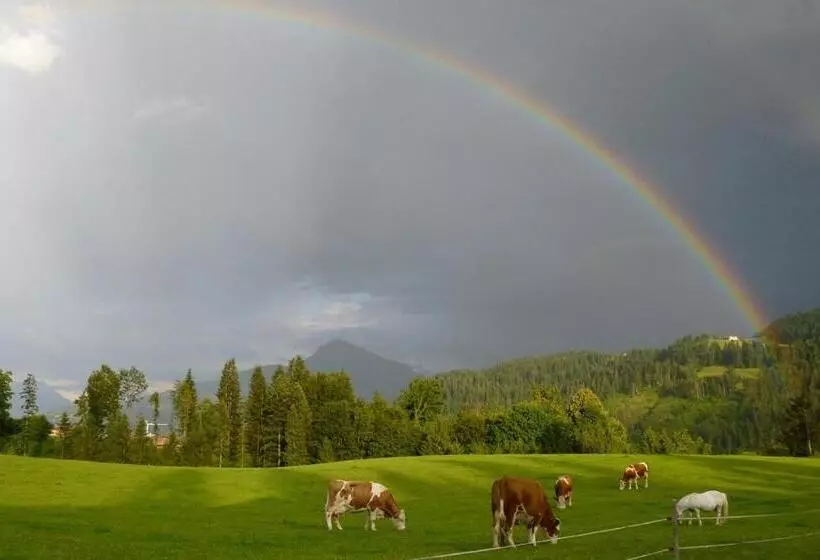 Bed and Breakfast Pension Sunnbichl