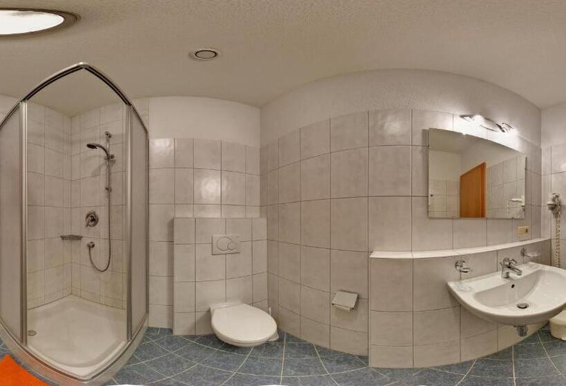 Отель Alpenrose