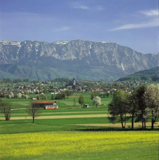 Appartements-ferienwohnung Hemetsberger