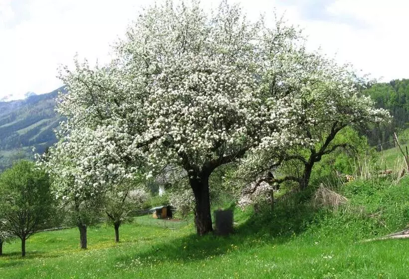 Hotelli Backer Ferdl Panzio