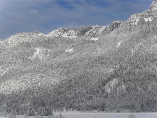 Bauernhof Ascherbauer
