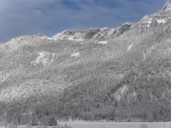 Bauernhof Ascherbauer