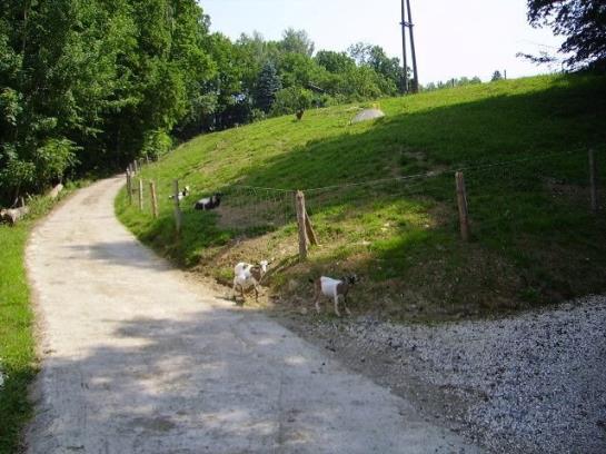 Bauernhof Kasleitner