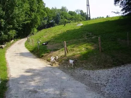 Bauernhof Kasleitner