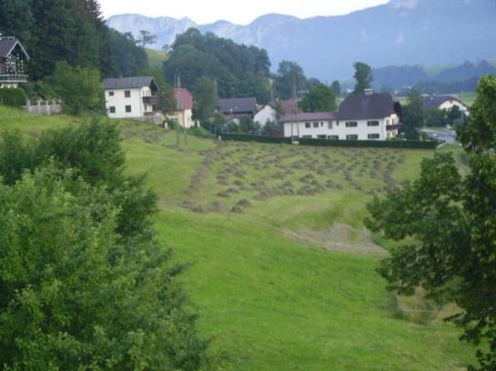 Bauernhof Kasleitner