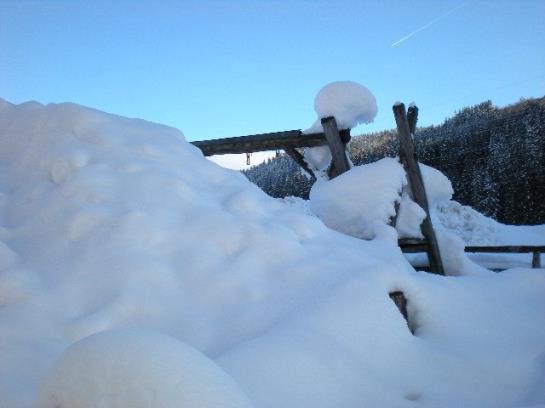 Bauernhof Vierthalerhof