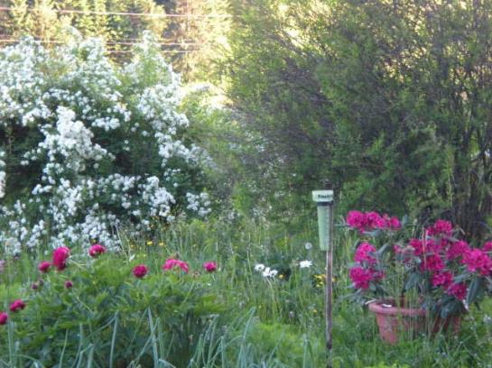 Bauernhof Vierthalerhof