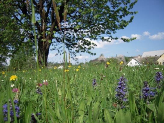 Отель Biohof Mayerhofer